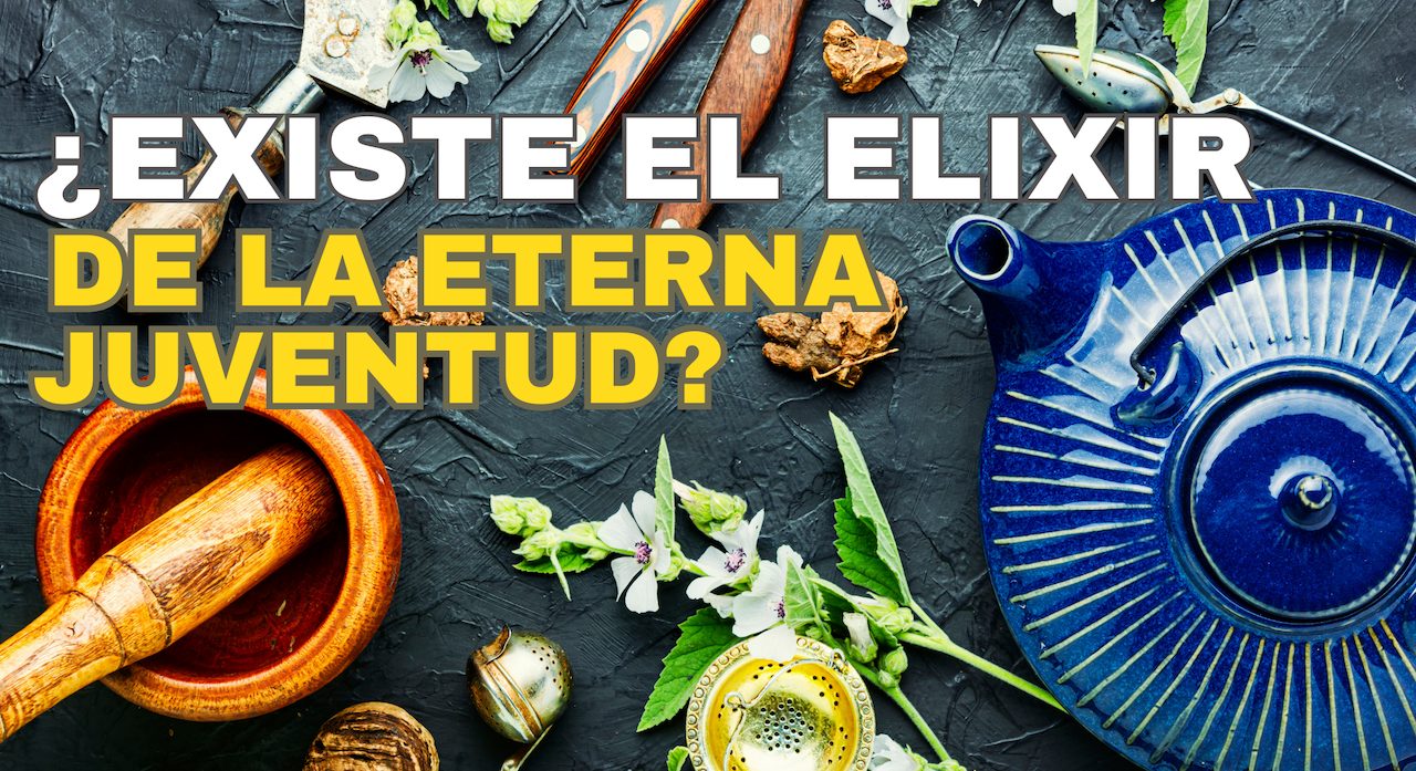 ¿Existe el Elixir de la Eterna Juventud?: Maestro Taoísta que Nunca Envejeció…