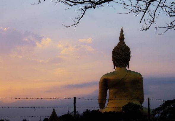 Buda en el campo y el árbol con la salida del sol.