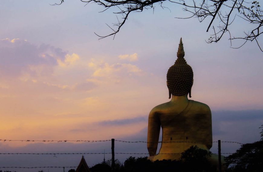 Buda en el campo y el árbol con la salida del sol.