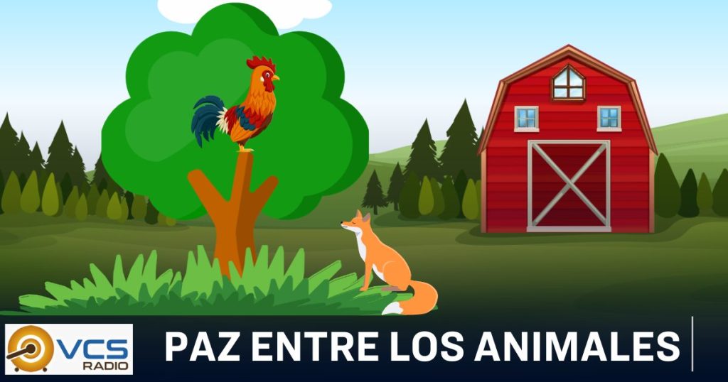 Un gallo de colores encuentra una zorra en el campo y teme ser devorado.