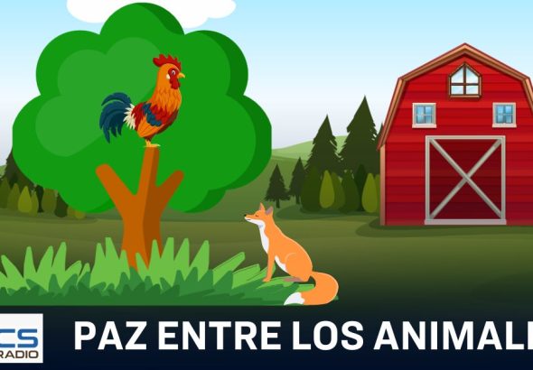 Un gallo de colores encuentra una zorra en el campo y teme ser devorado.