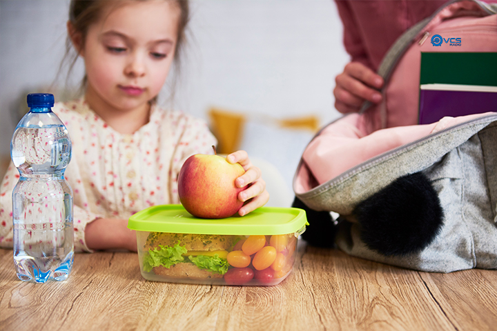 ¡Loncheras Sabrosas y Nutritivas para tus Pequeños Exploradores!